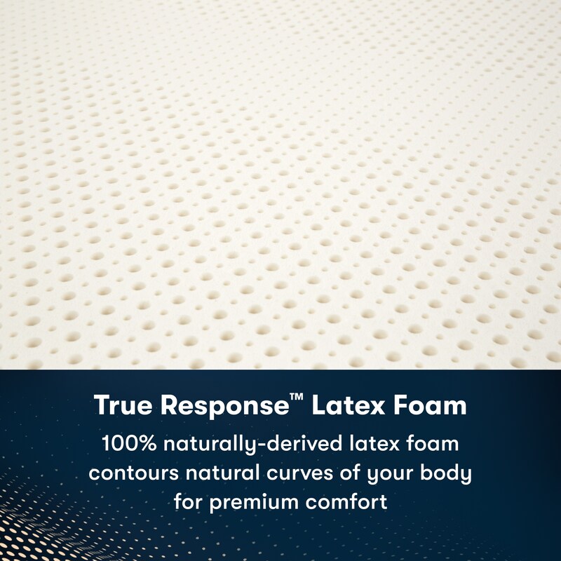 Serta iComfortPro Buckingham 16" Latex Foam Plush Pillow Top Mattress