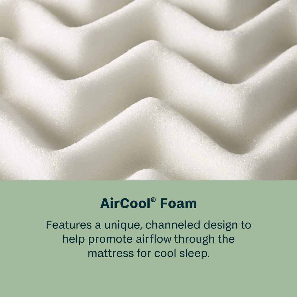 BeautySleep® by Beautyrest® Dream Weaver™