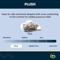 Serta iComfortPro Buckingham 16" Latex Foam Plush Pillow Top Mattress