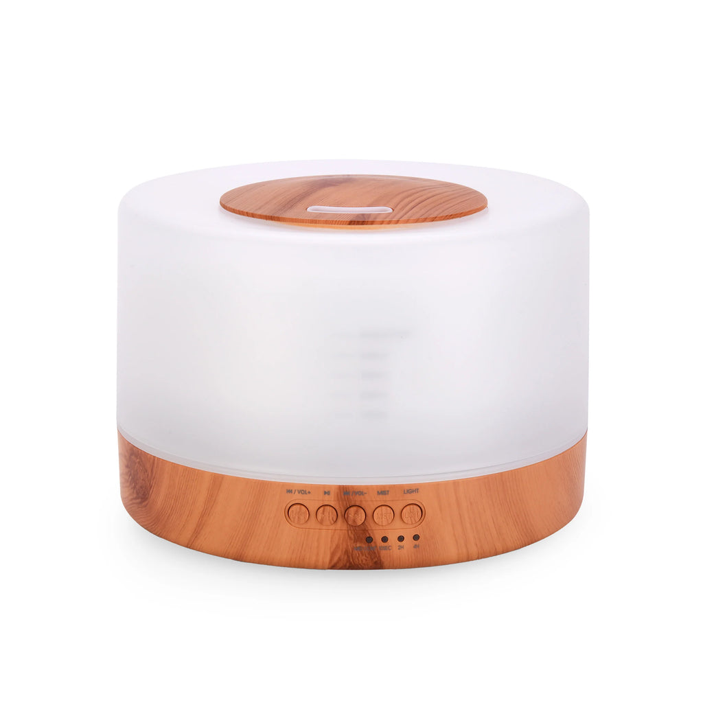 Rize Home sleep essentials - Calm Diffuser
