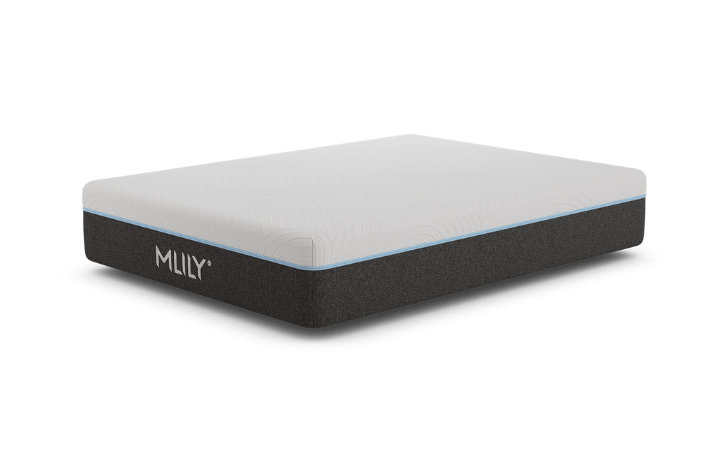Mlily - Fusion Luxe Hybrid Twin XL 12.5"
