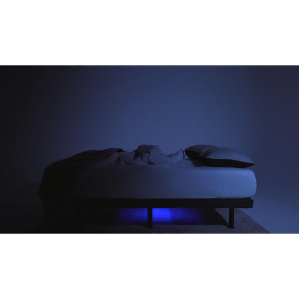 Rize Clarity II Adjustable Bed