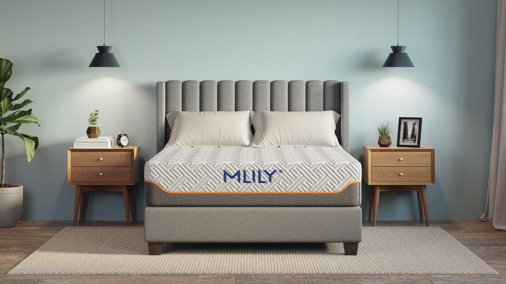 Mlily - Fusion Supreme Queen 11.5" Mattress