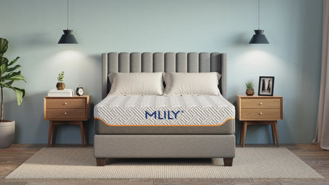 Mlily - Fusion Supreme Twin 11.5" Mattress